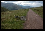 Ben Nevis -26-05-2014 - Bogdan Balaban